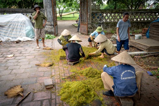 Decoding the Human Voice: The Art and Science of Natural Language Processing